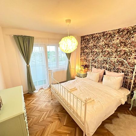 Simba Residence Temeşvar Dış mekan fotoğraf